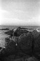 Eleanor and David Lattimore climbing on rocks by seashore