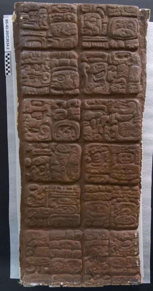 Cast of part of Stela F; Quirigua, east, glyphs