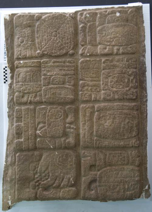 Cast of part of Stela C, Quirigua; west, glyphs