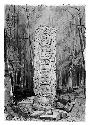 Drawing of Stela F, back view