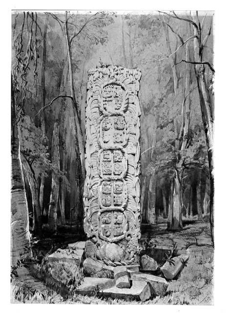 Drawing of Stela F, back view