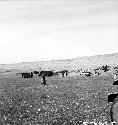 Bakhtiari encampment near Gotwand