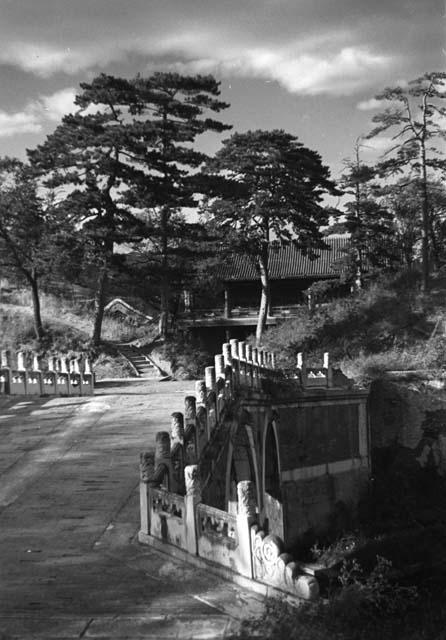 Bridge to buildings on hilly ground with trees around