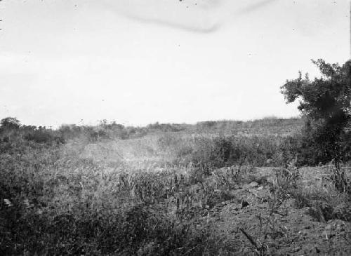 Mound near Suchitoto