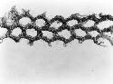 Cotton lace from Greenwood Cave