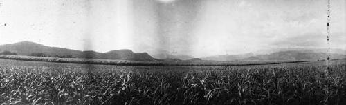 Three views of central Augirre