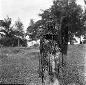 Circumcision masks of the Maragoli at Kaimosi