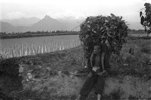 Young man with large bundle of leaves on back