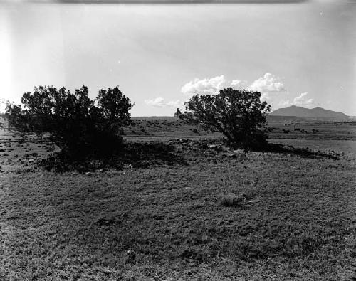 Curtiss farm site, small Pueblo ruin