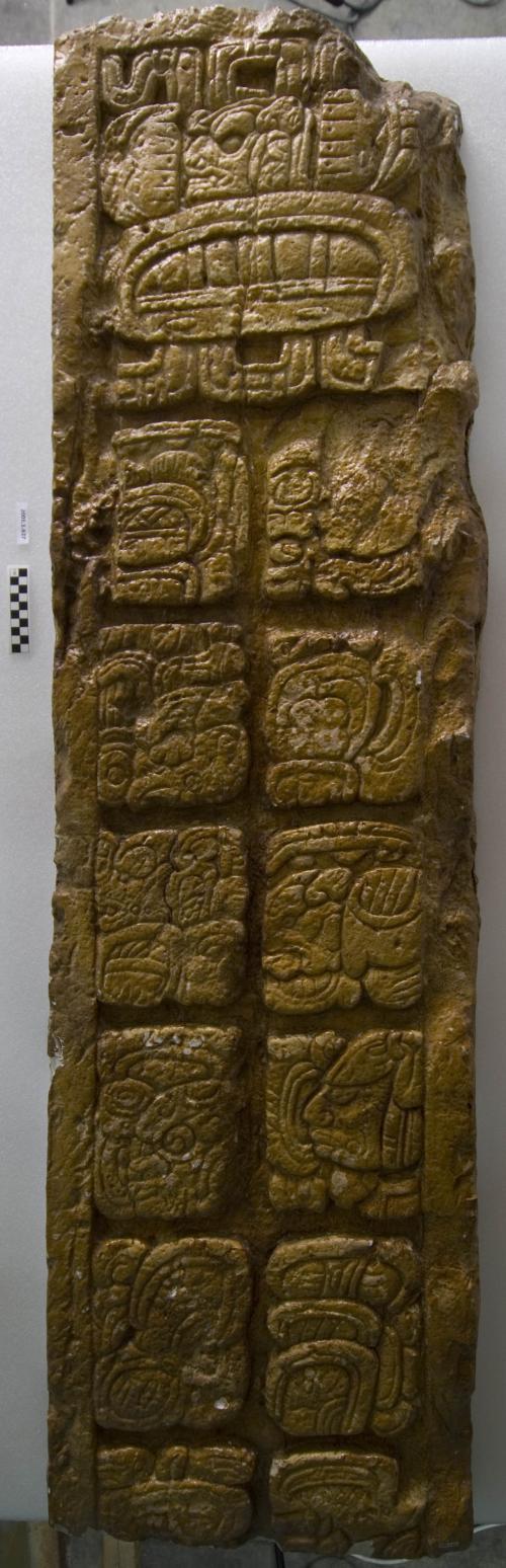 Cast of part of Stela P, South top