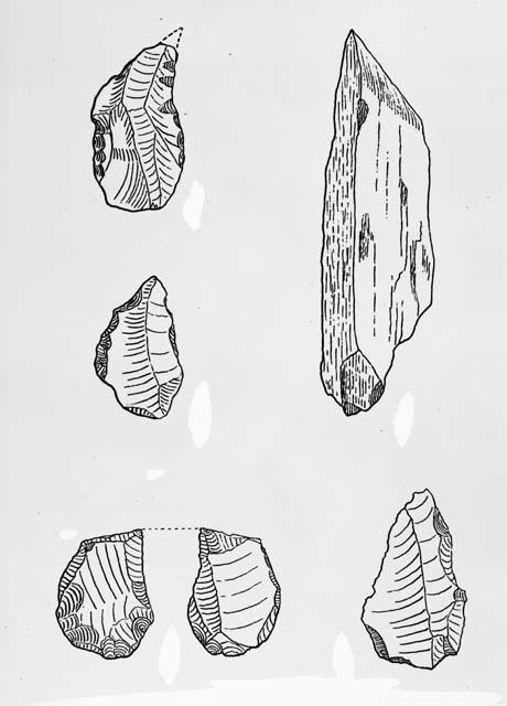 Drawings of stone artifacts  from "Texepan man" early man in Mexico