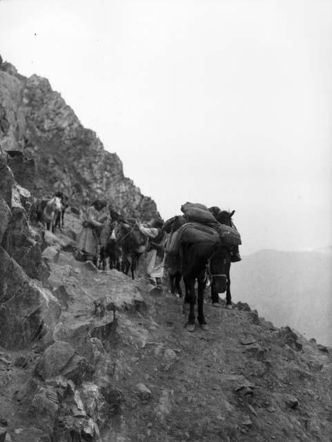 Caravan almost at summit of Sanju Davan