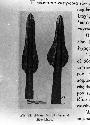 Metal spear heads. Greek Archaeological journal, 1933, page 92