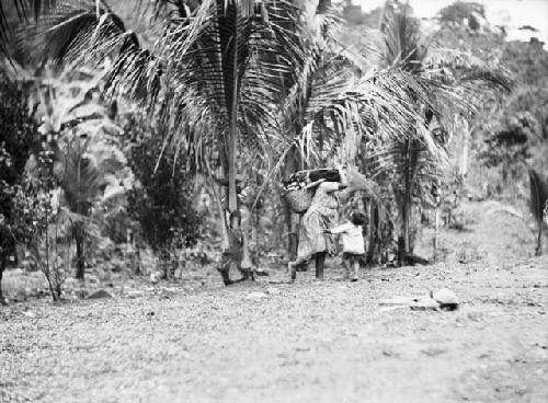 Woman carrying load of corn on head and back