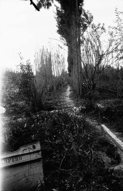 Canoe and path on Isla Pampero