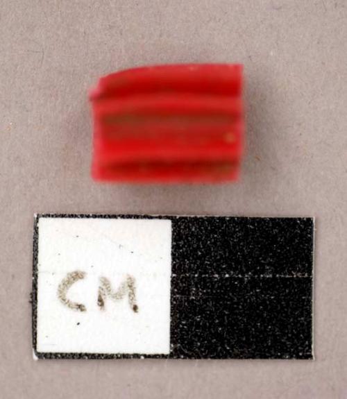 Plastic, red circular object with eight grooves