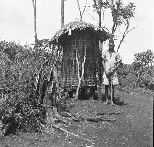 Granary, Sipi