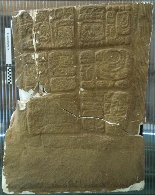 Cast of part of Stela I, Quirigua; bottom, glyphs