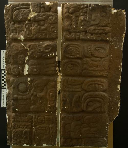 Cast of part of Stela F, Quirigua; east, glyphs