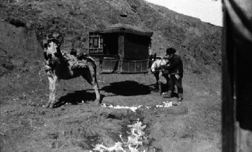 Man near Palanquin held up by two horses