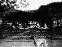 Dog in foreground and main gate in distance