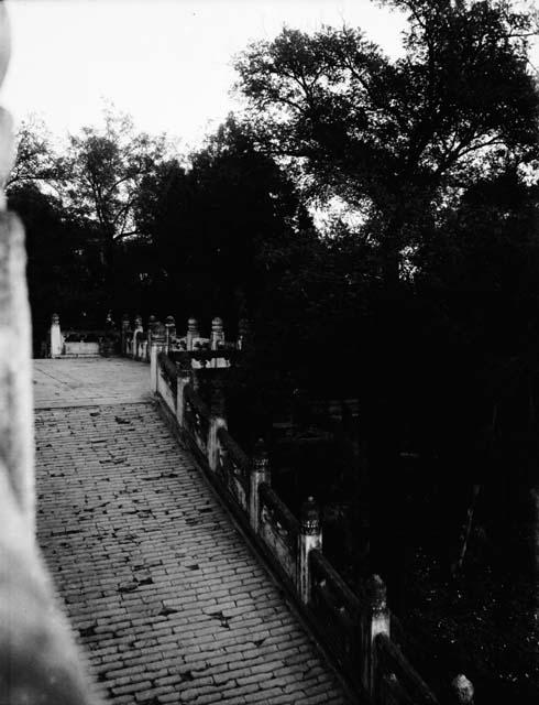 Brick path lined with decorated fence