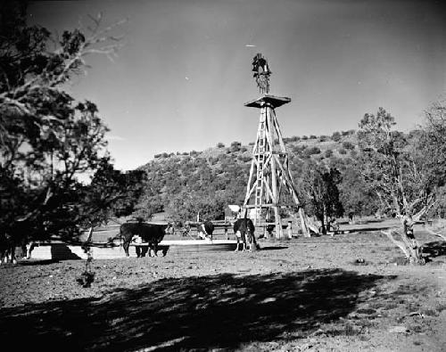 Camp windmill