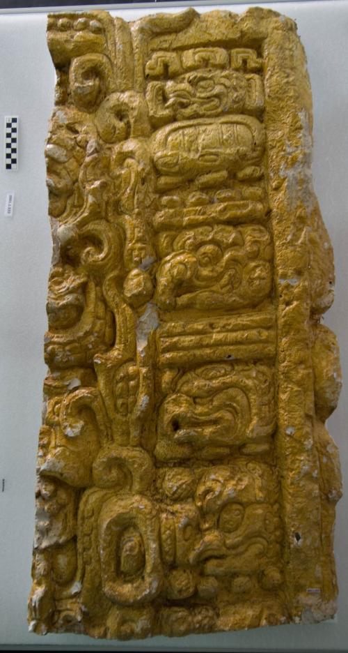 Cast of part of Stela B - north top