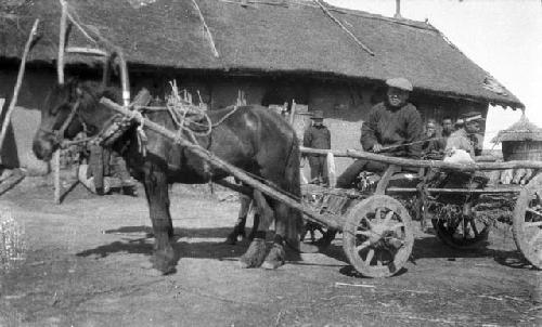 Man sitting on a horse drawn cart