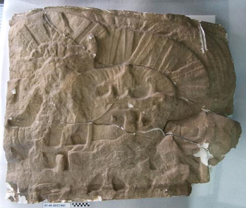 Cast of part of Stela C, Quirigua; north, top