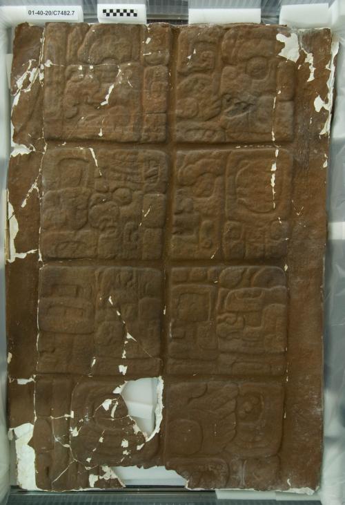 Cast of part of Stela A, Quirigua; east, glyphs