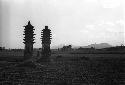 Two tall, narrow pagodas and several mounds in a field