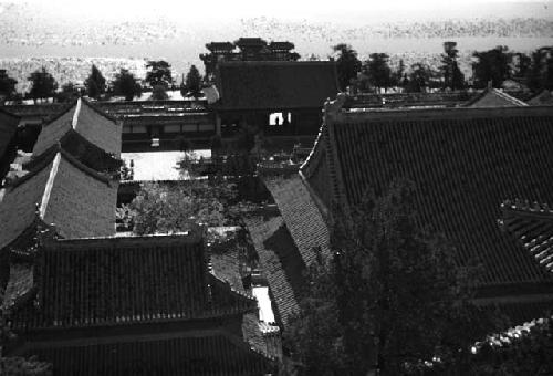 Complex of buildings with scattered trees from above