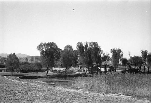 Three or four buildings among trees