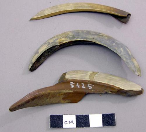 Implements made of tusks of boar