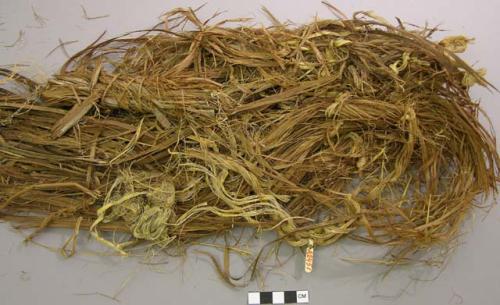 Fragments of cedar bark cradle