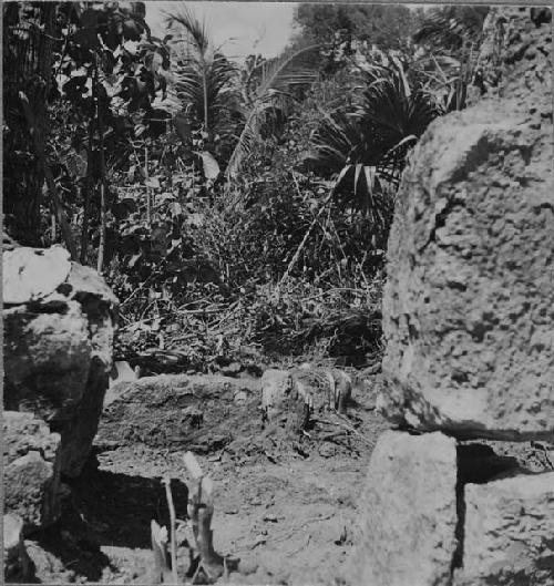 Doorway with altar in temple at Puerto Morelos