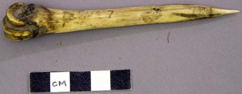 Bone awl made from deer metatarsal