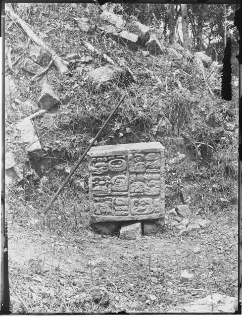 Sculpture with glyphs in grass