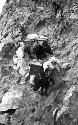 One man and two heavily loaded yaks descending very steep mountain