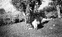 Three young men, possibly shepherds with goats in front of them