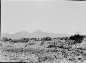 Landscape view, Timberlake Ruin to Northwest