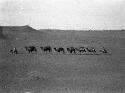 Camels near Kargaliq (Qarghaliq) [Yecheng], men on pack horses in lead and rear