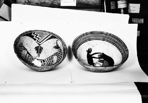 Life forms on Mimbres classis black on white pottery