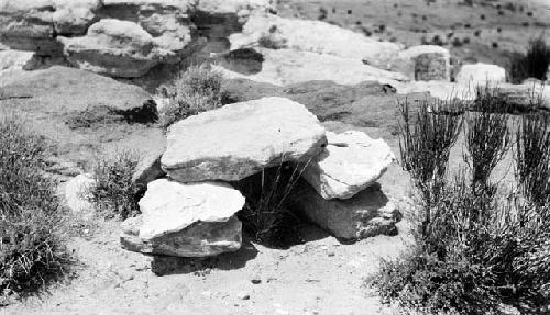 Rocks and bushes