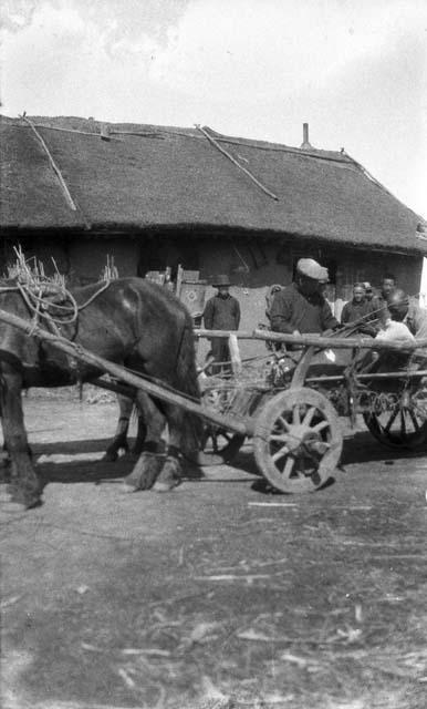 Man sitting on horse drawn cart