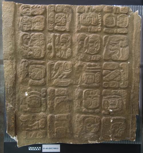 Cast of part of Stela J, Quirigua; east, back, lower glyphs