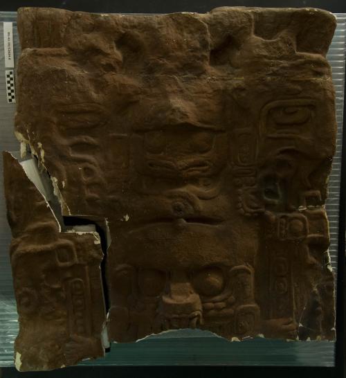 Cast of part of Stela F, Quirigua; north, headdress