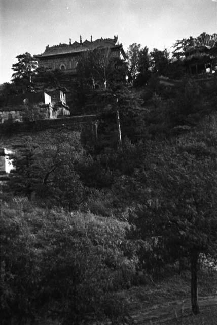 Hill with buildings and walls among trees