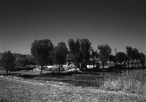 Three or four buildings among trees